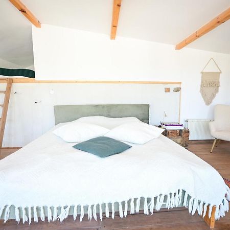 Guest House Bulgarka Dibich 外观 照片