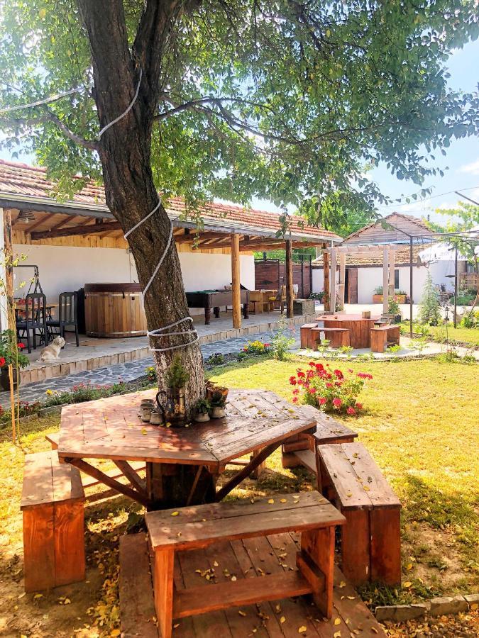 Guest House Bulgarka Dibich 外观 照片