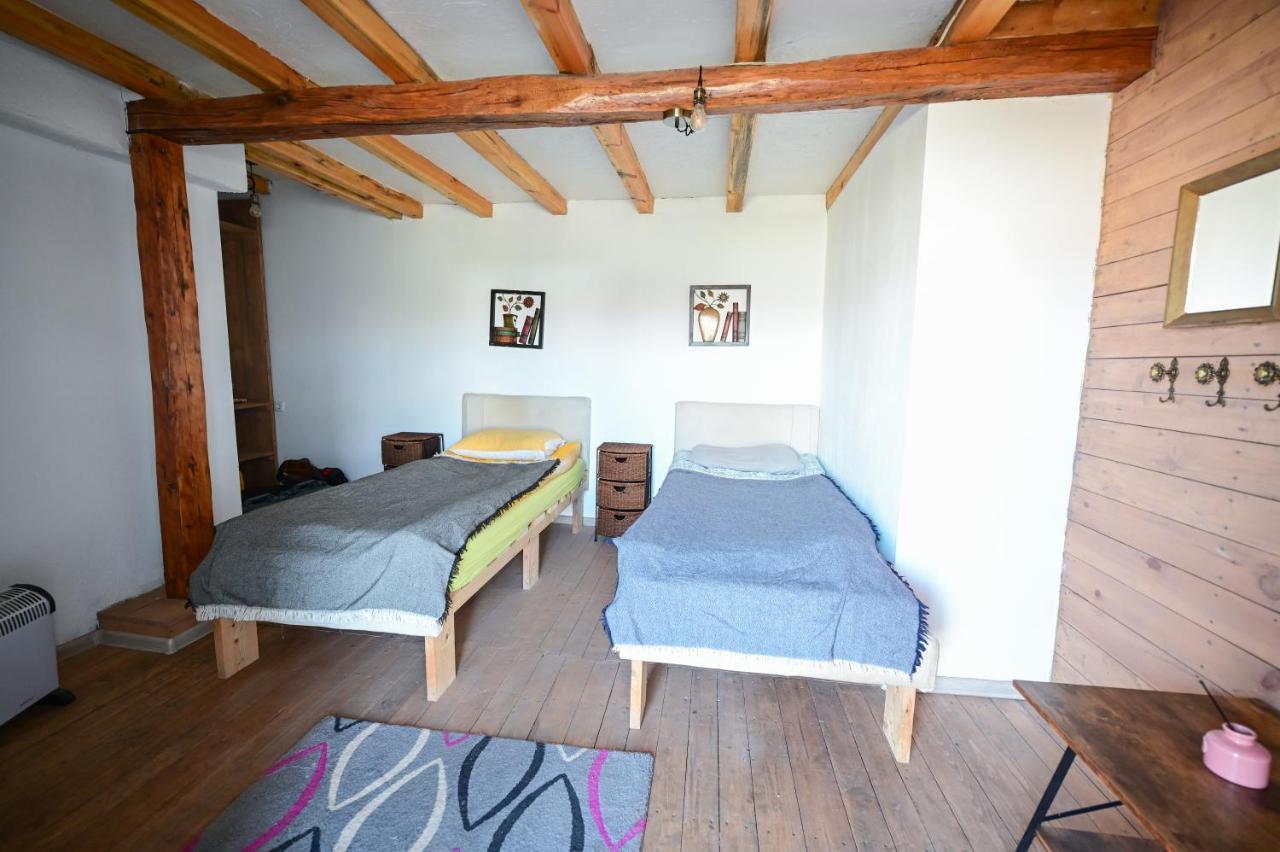 Guest House Bulgarka Dibich 外观 照片